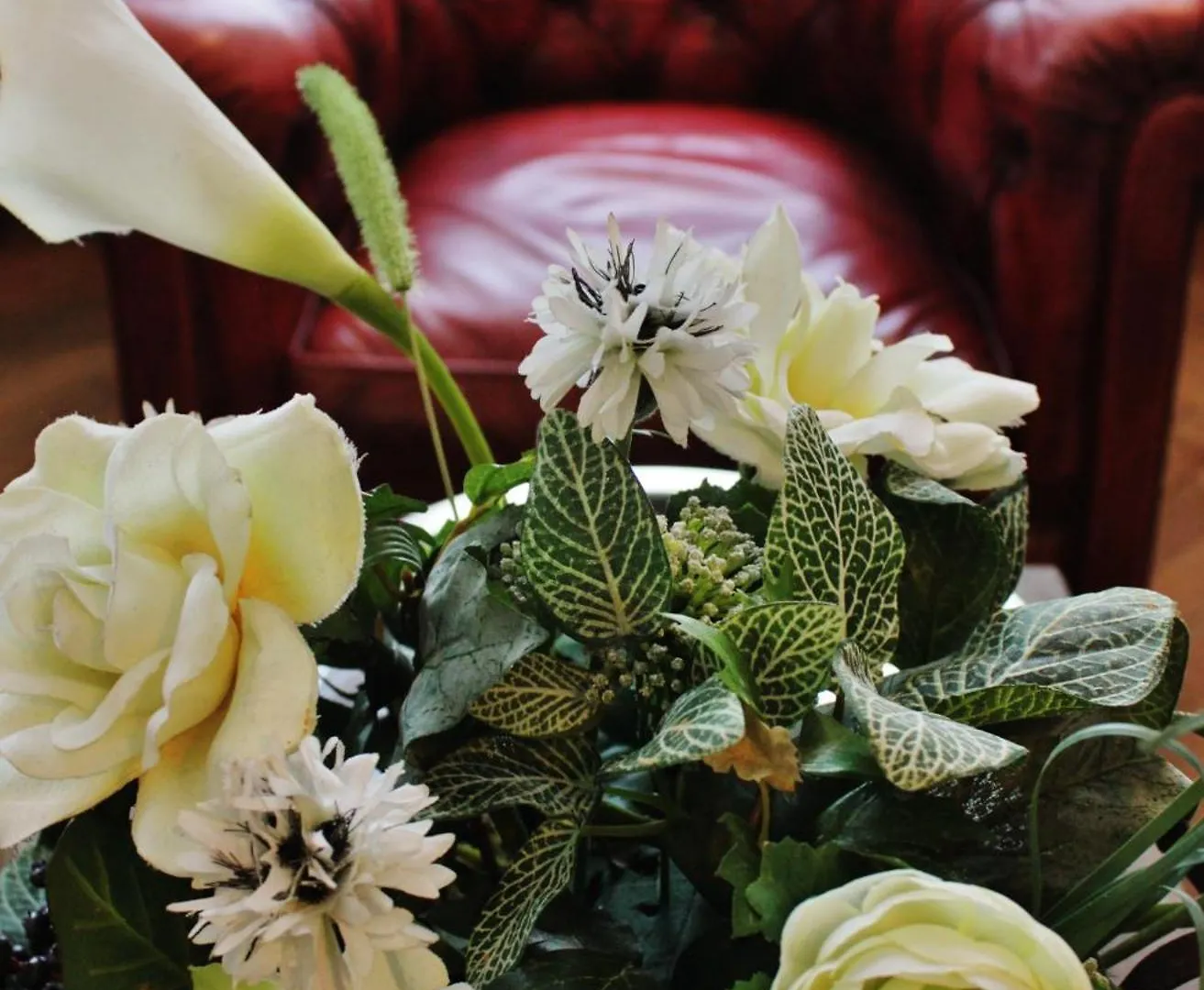 B&B Avenue Deschanel Brussels